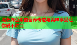 黑芝麻豆浆的营养奇迹与美味享受让你爱不释口